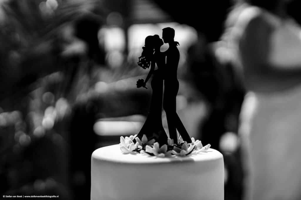 Detail foto van topje van de bruidstaart waar een bruidspaar op staat welke elkaar omhelsd © Stefan van Beek Fotografie