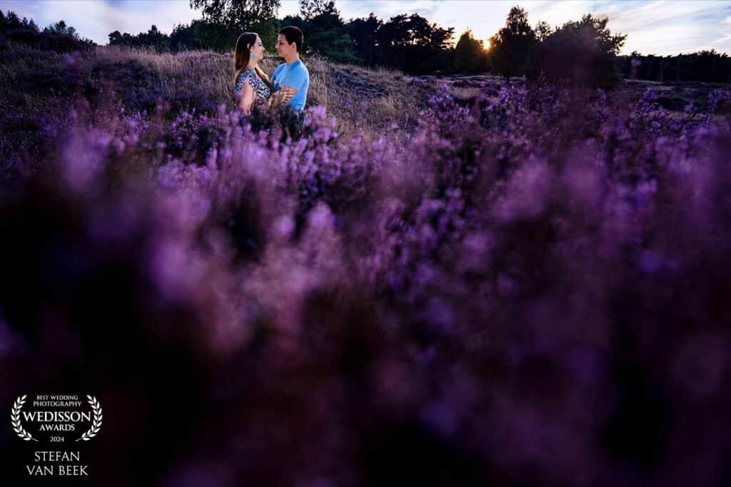 Love shoot op de paarse heide met stel | Awardwinning fotografie © Stefan van Beek